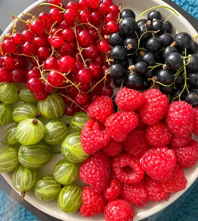 Mój Dietetyk Katowice gabinet dietetyczny Marta Heller-Surowiec - odchudzanie, konsultacje, plany żywieniowe, diety